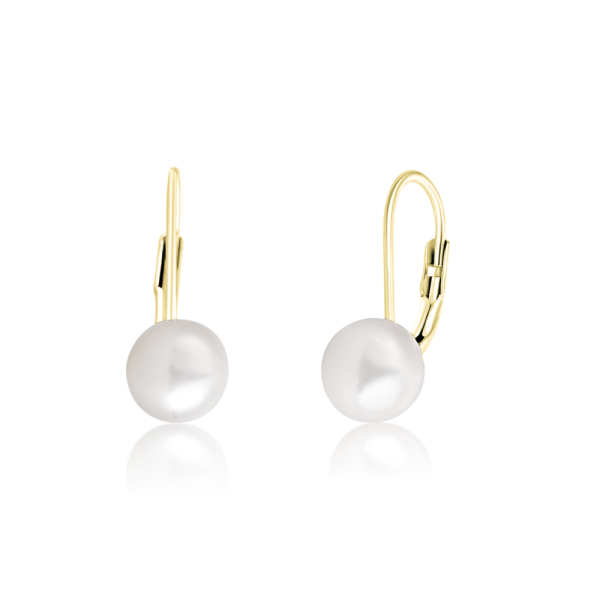 Náušnice 925/1000 SVLE0476XD2GP05