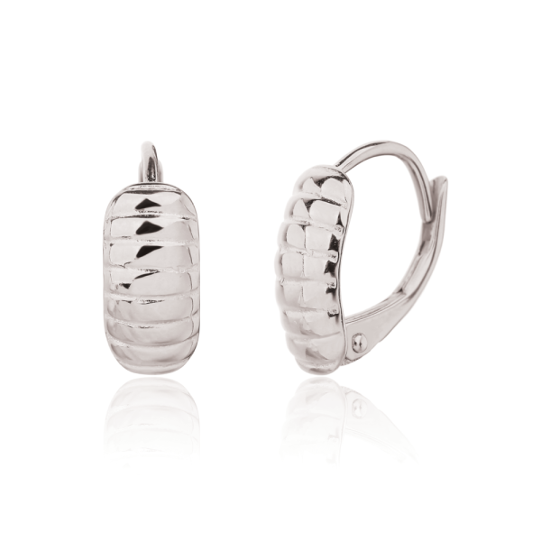 Náušnice SVLE3393XJ60000 SVLE3393XJ60000