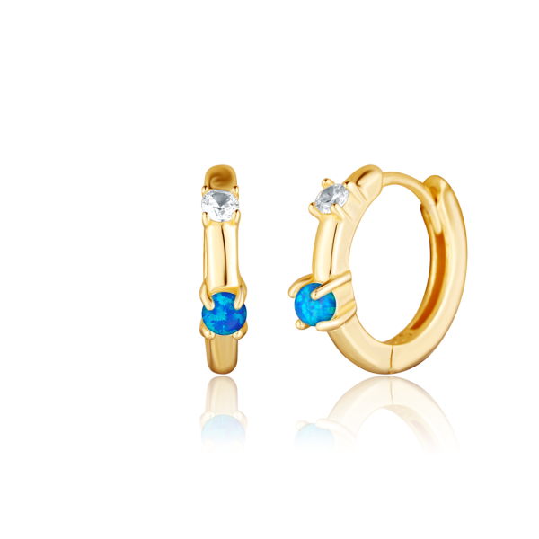 Náušnice SVLE2836XH2G300 SVLE2836XH2G300