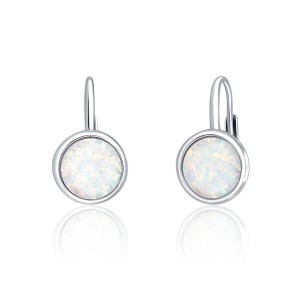 Náušnice SVLE0697XH2O100 SVLE0697XH2O100