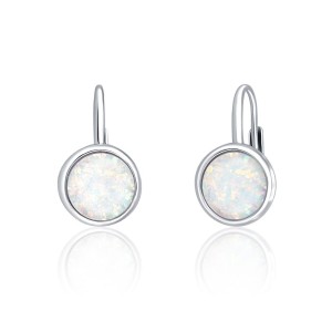 Náušnice SVLE0697XH2O106 SVLE0697XH2O106